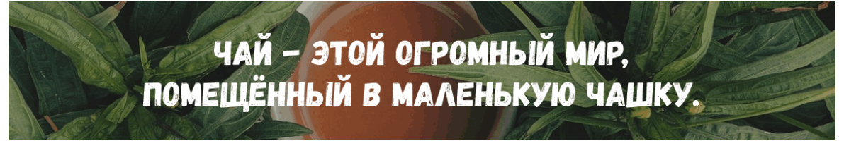 Каталог товаров