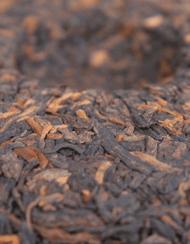 Шу Пуэр Бермуды №1