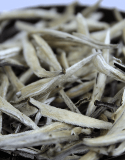 «Бай Хао Инь Чжень»