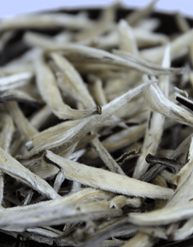 «Бай Хао Инь Чжень»