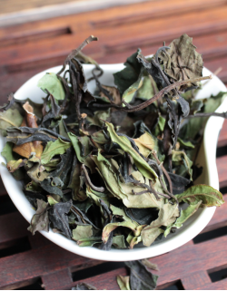 Е Шен Гу Шу Бай Ча «Белый чай со старых диких деревьев»