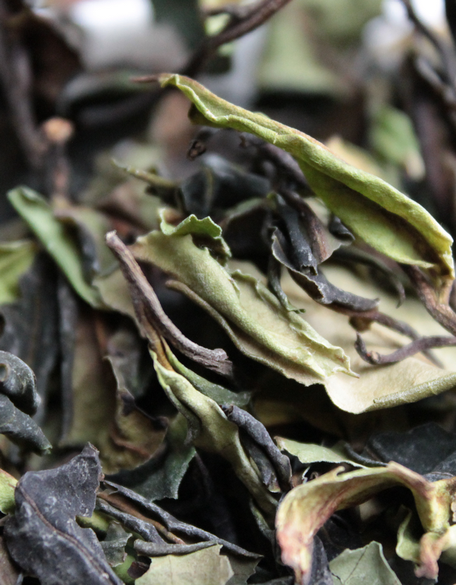 Е Шен Гу Шу Бай Ча «Белый чай со старых диких деревьев»