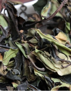 Е Шен Гу Шу Бай Ча «Белый чай со старых диких деревьев»