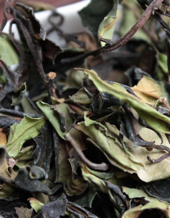 Е Шен Гу Шу Бай Ча «Белый чай со старых диких деревьев»