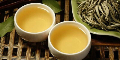 Почему опытные «чайные пьяницы» предпочитают белый чай?