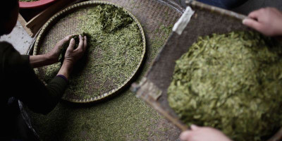 Китайский чай: дань моде или тысячелетние традиции?