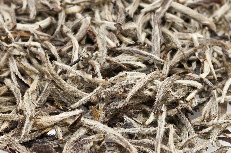 Популярность белого чая