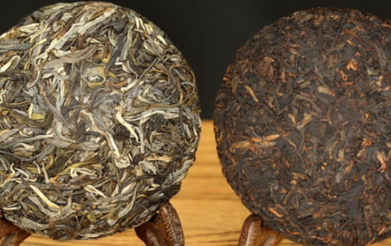 Шен и Шу Пуэры